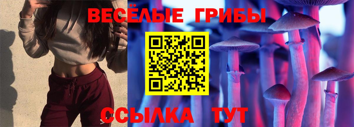 Елабуга  Псилоцибиновые грибы Cubensis  Псилоцибиновые грибы мухоморы  Вход с VPN 